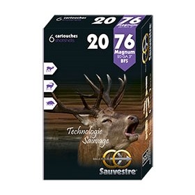 SAUVESTRE BFS 20/76