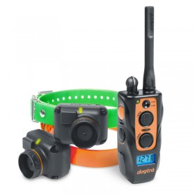 DOGTRA 2602 T&B