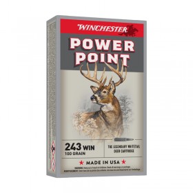 WINCHESTER 243Win 100GR...
