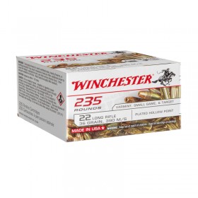 WINCHESTER 22LR - 36GR HP