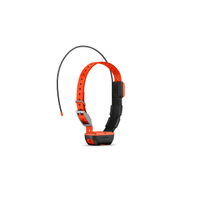 GARMIN COLLIER  DE SUIVI T20