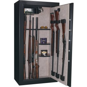 INFAC PRESIDENTIAL 23 armes