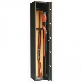 Infac Sentinel 5 armes