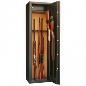 Infac Sentinel 10 armes
