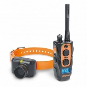 DOGTRA 2600 T&B
