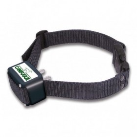 NUM'AXES Collier  Canifugue