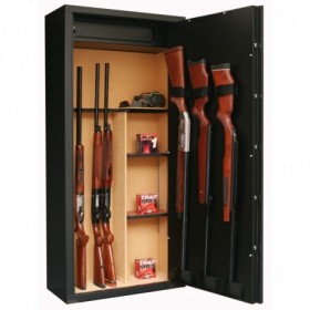 Infac Sentinel 14 armes