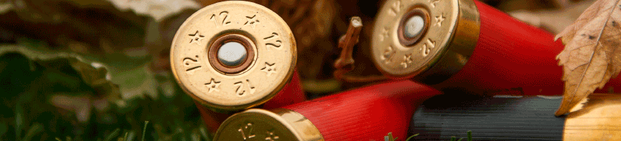 Munitions lisses
