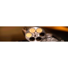 Revolver Catégorie B