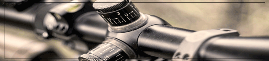 Optique de chasse