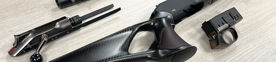 Éléments pour Blaser