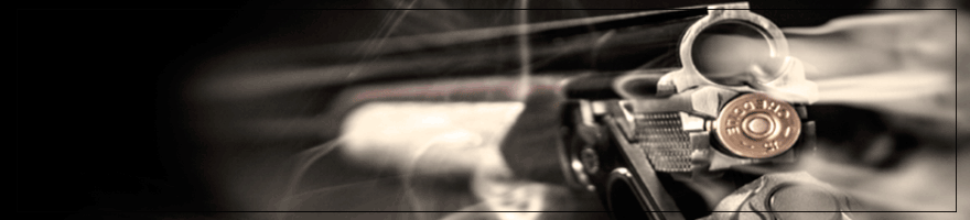 Fusil de chasse