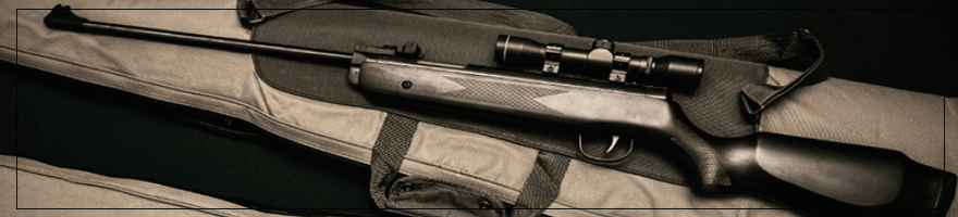 Carabine de chasse