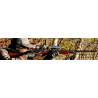 Occasion - Carabine de Chasse